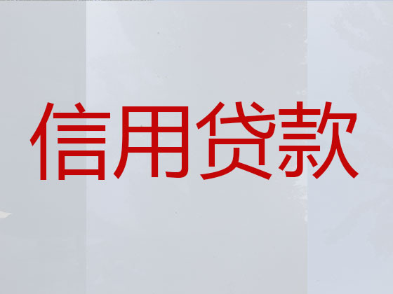 安阳贷款中介公司